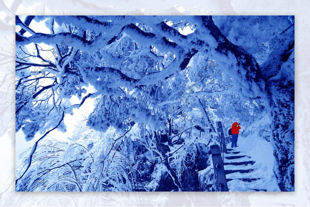 南川金佛山雪景图片
