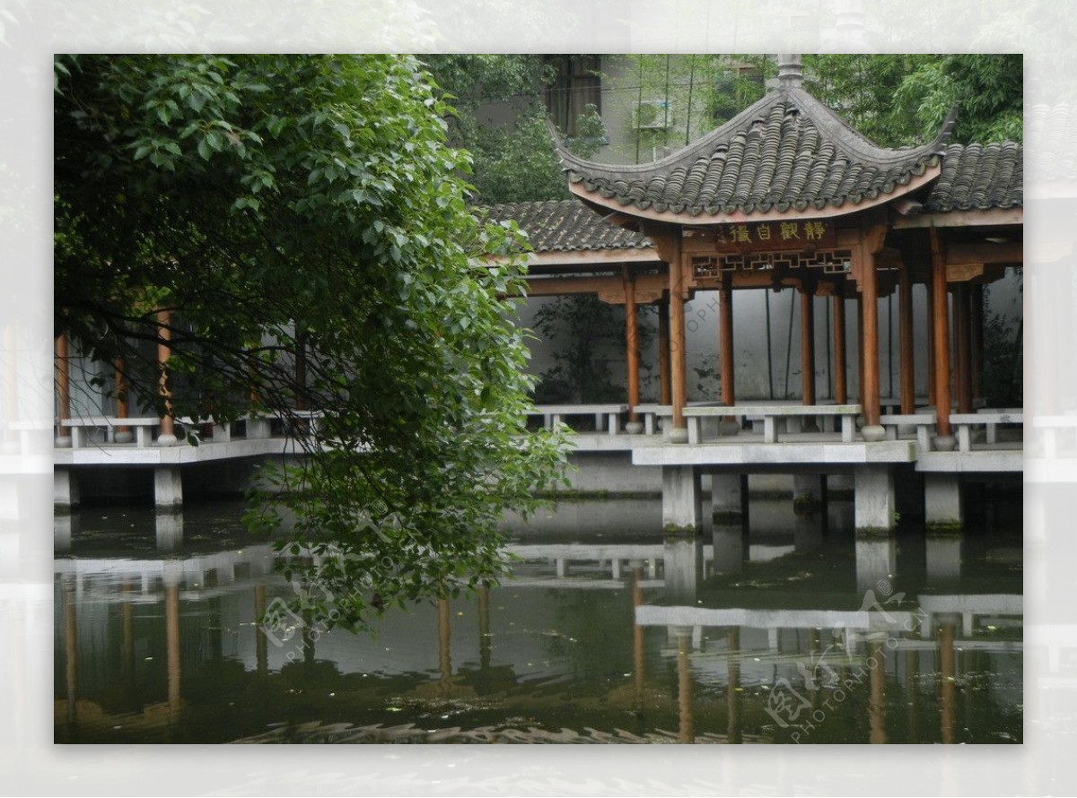 杭州花圃图片