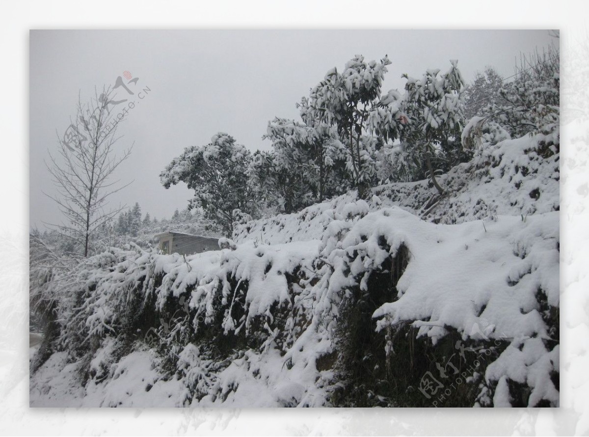 雪景图片