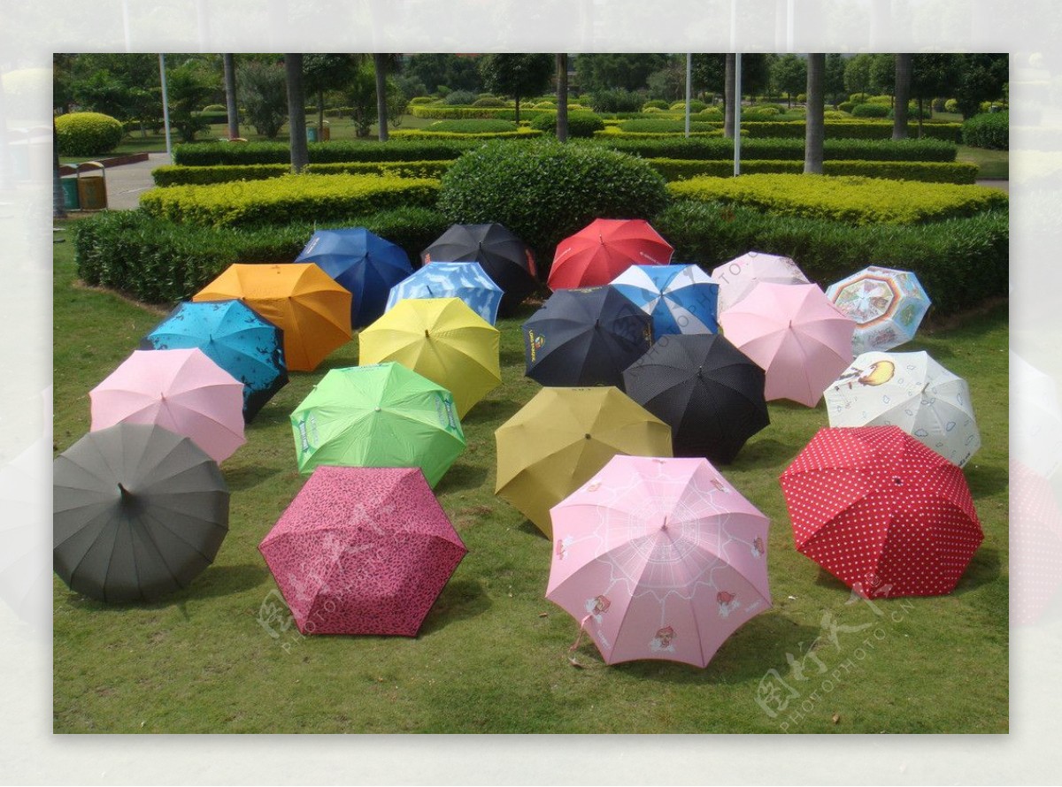 花伞图片