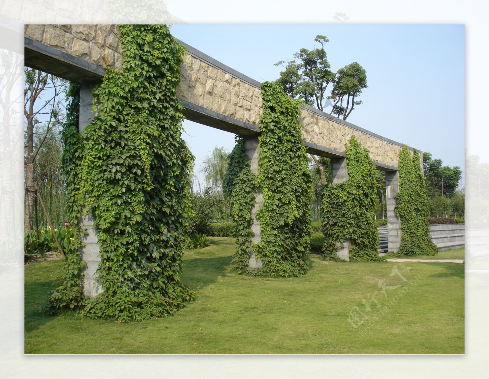景墙绿化图片