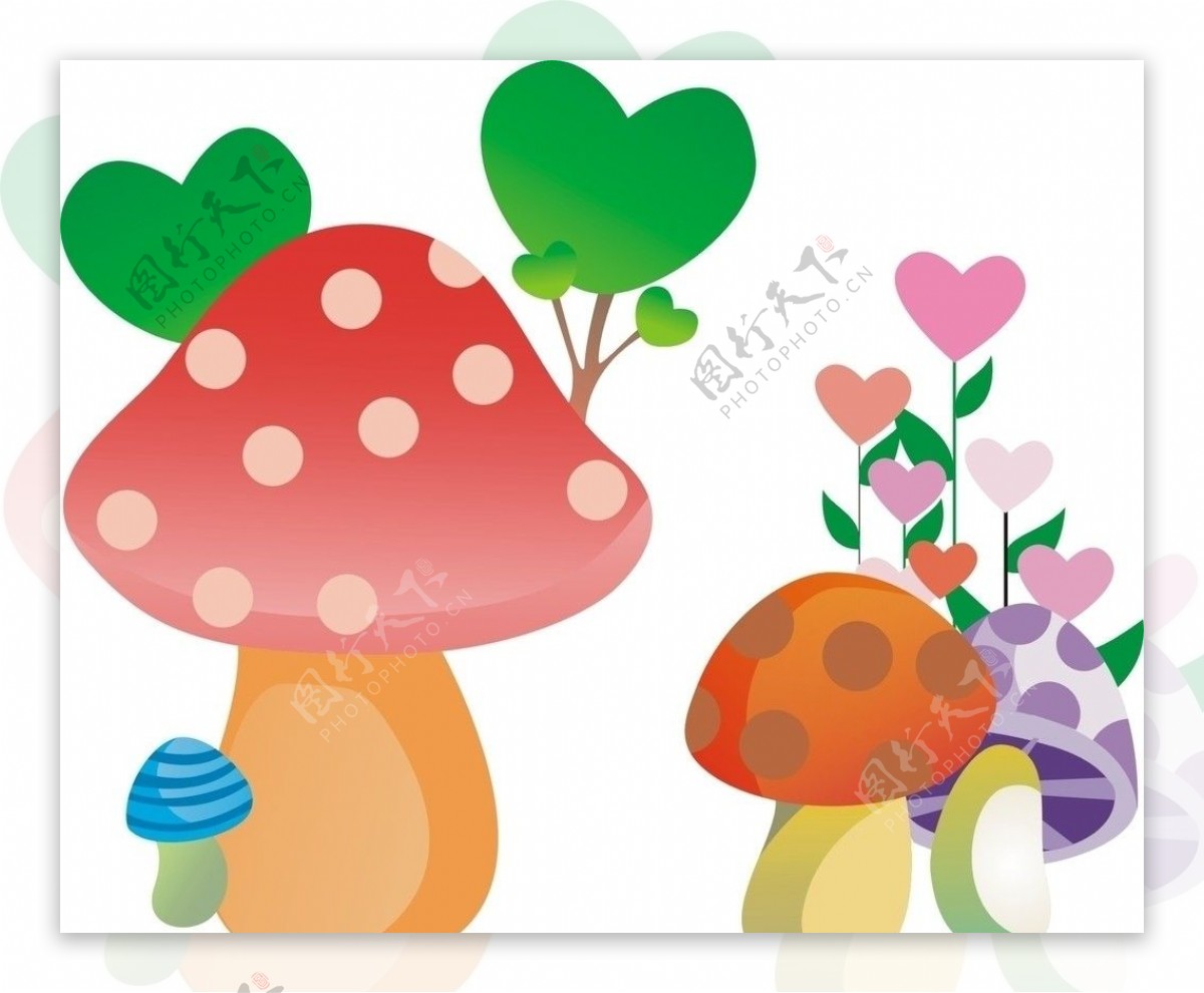 森林蘑菇图片