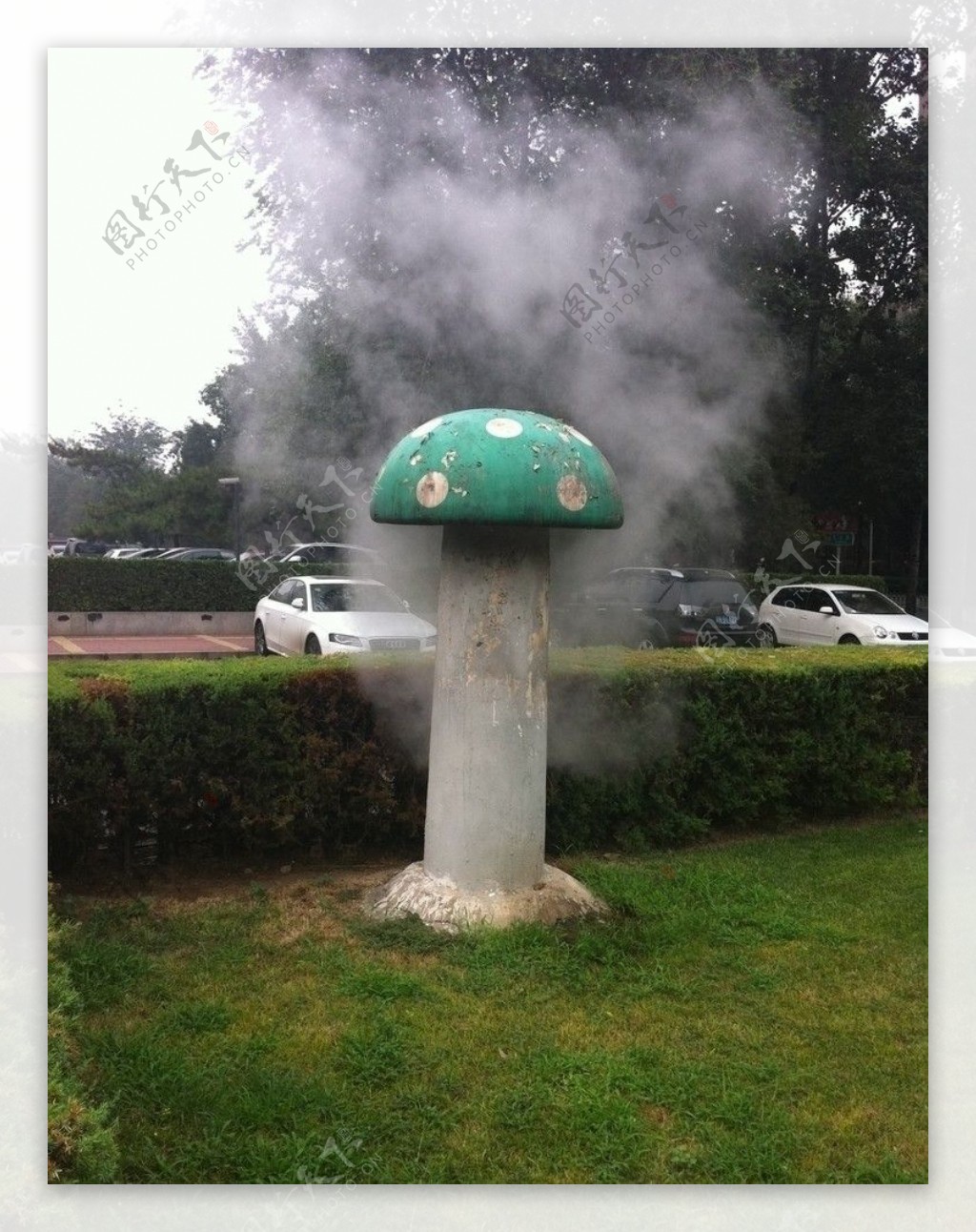 传说中的蘑菇雾图片