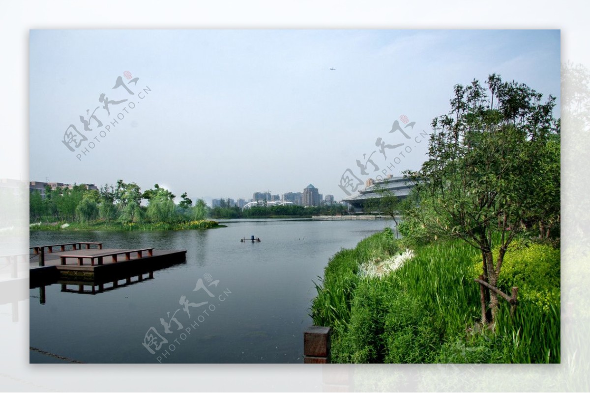 2009公园绿化金奖杭州城北体育公园图片