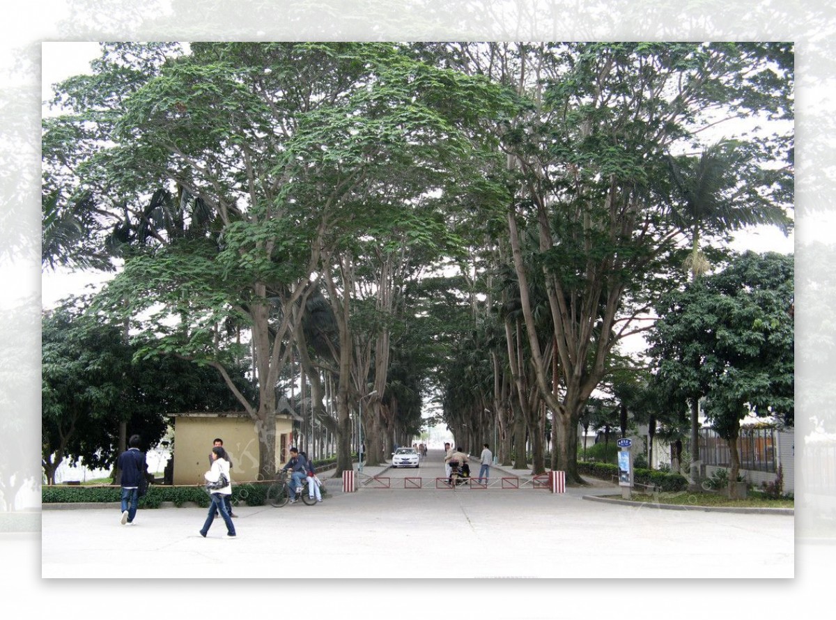 福建农林大学图片