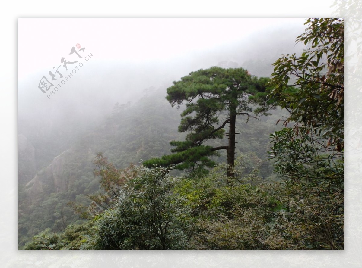 黄山风光图片