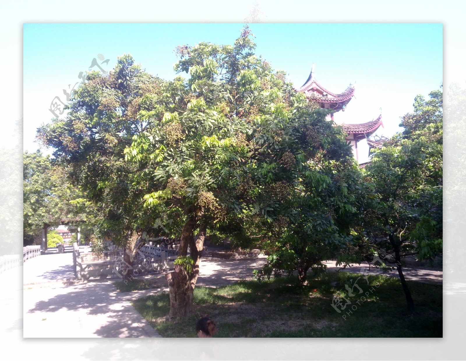 大自然风景图片