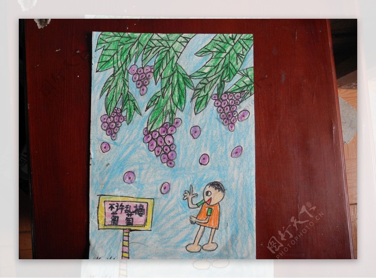 儿童绘画作品不许乱摘葡萄图片