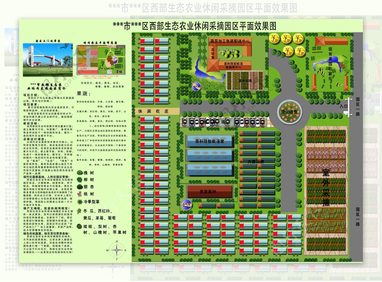 农业平面效果图图片