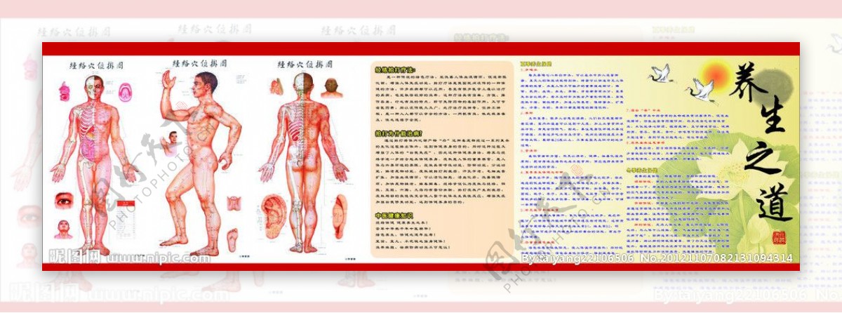 医疗保健养身健康卫生图片