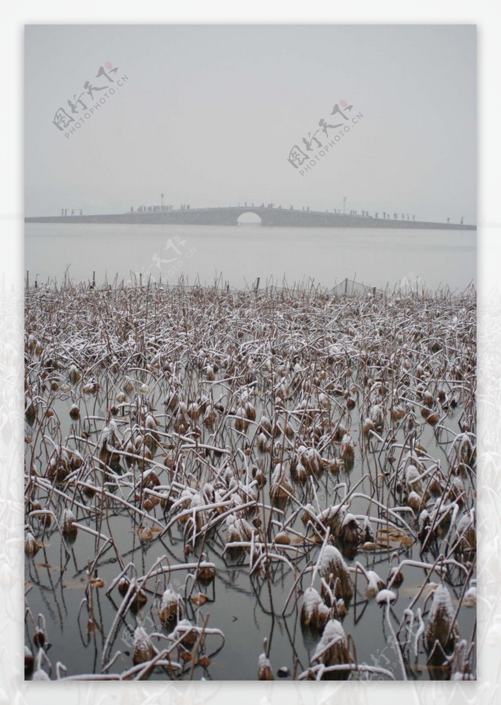 杭州西湖雪景图片