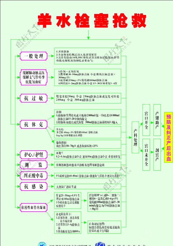 羊水栓塞抢救图片