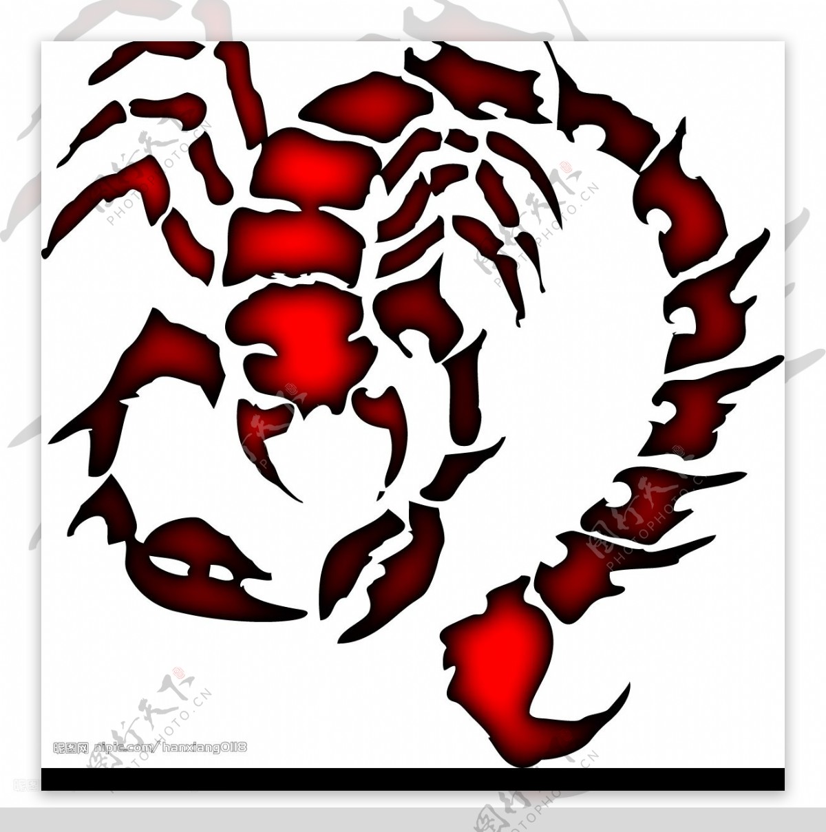 红蝎子图片