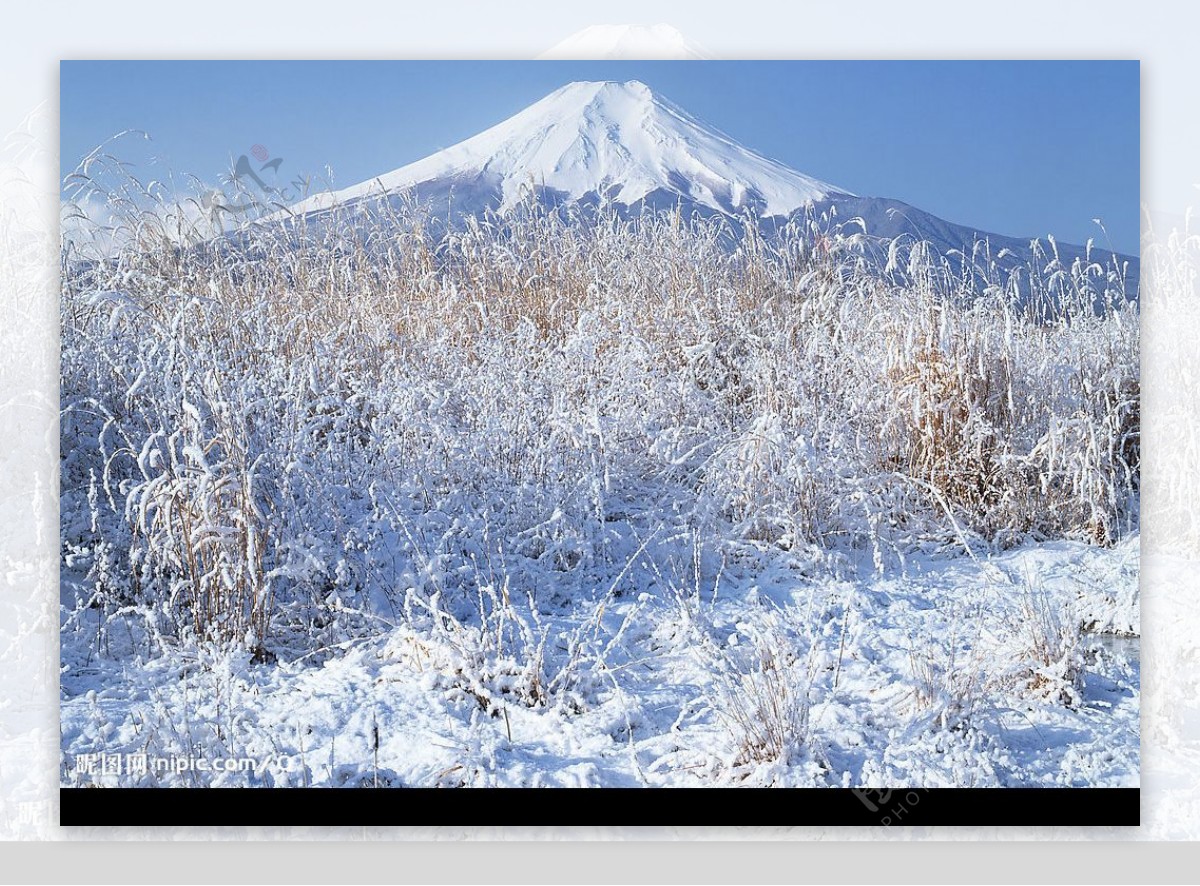富士山雪景图片