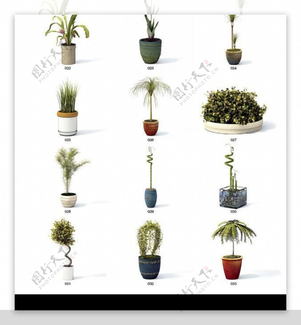 Vray高精度植物模型archmodel系列3图片