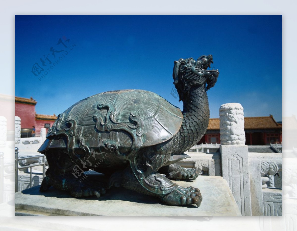 艺术石龟雕刻图片