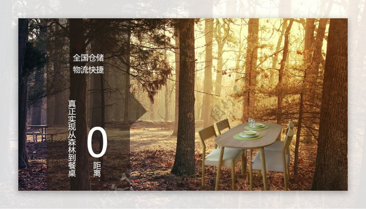 森林到饭桌0距离图片