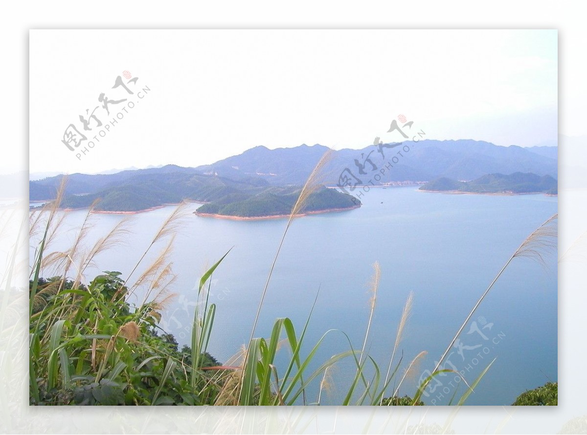 酒仙湖风光图片