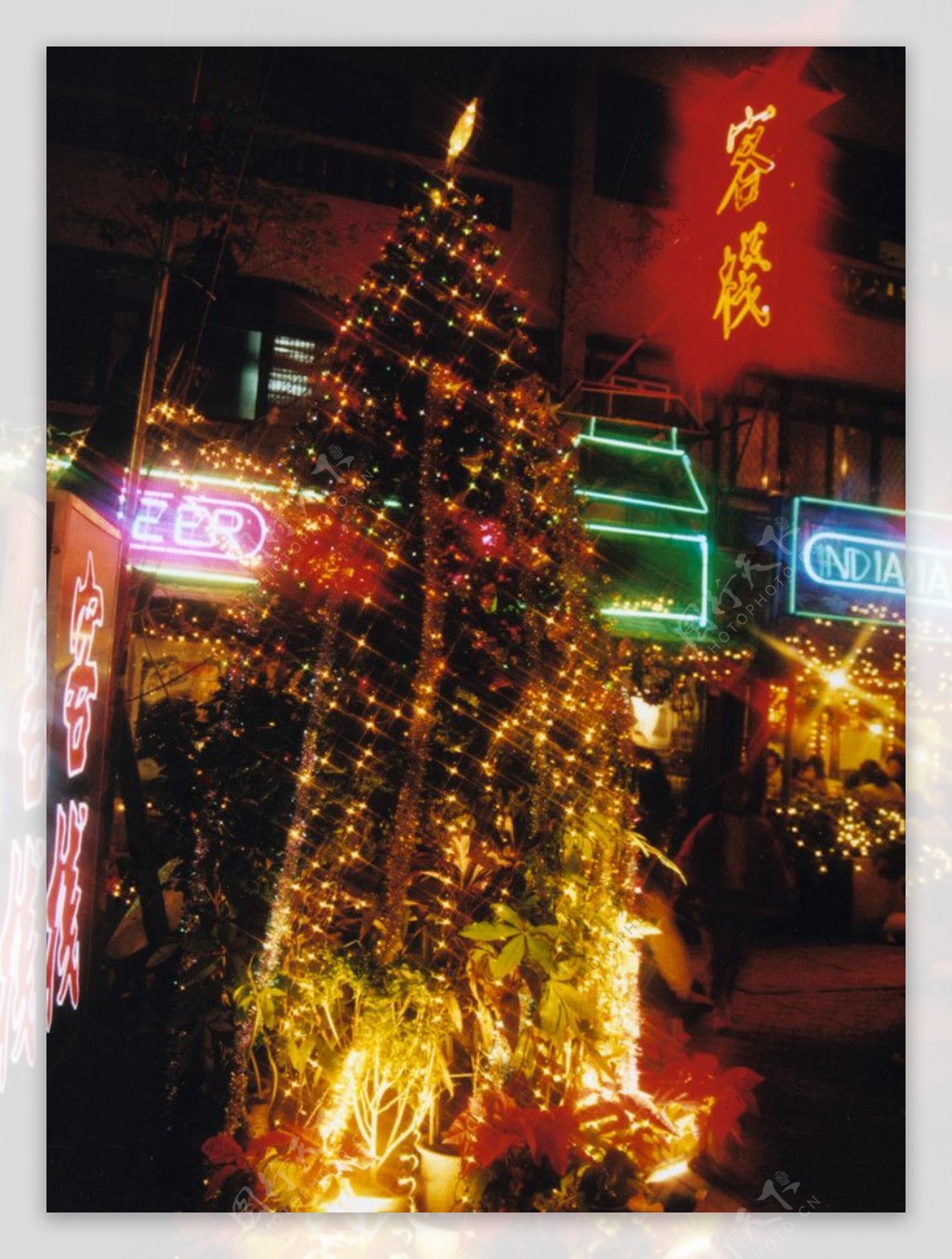 灯火嘹亮的圣诞树图片