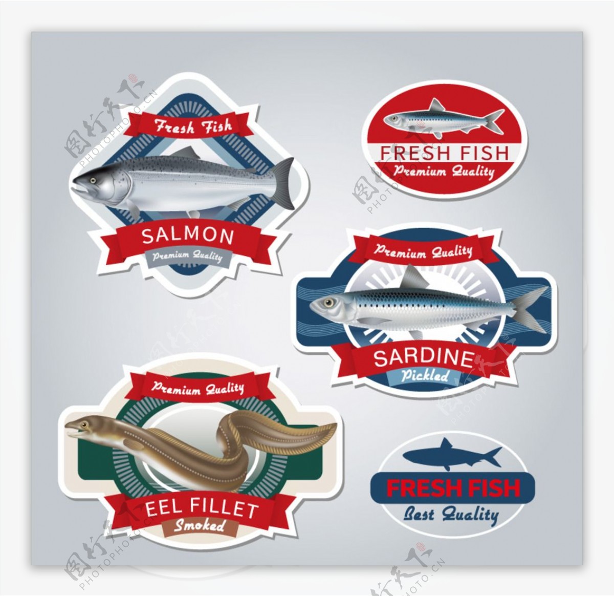 新鲜鱼类产品标签矢量素材图片