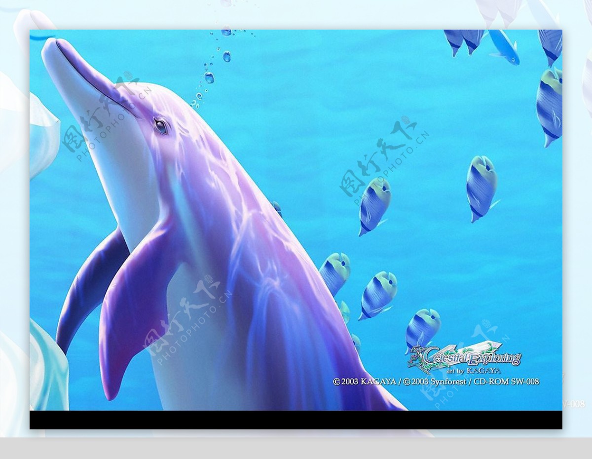 幻觉海豚梦幻的水中插画图片