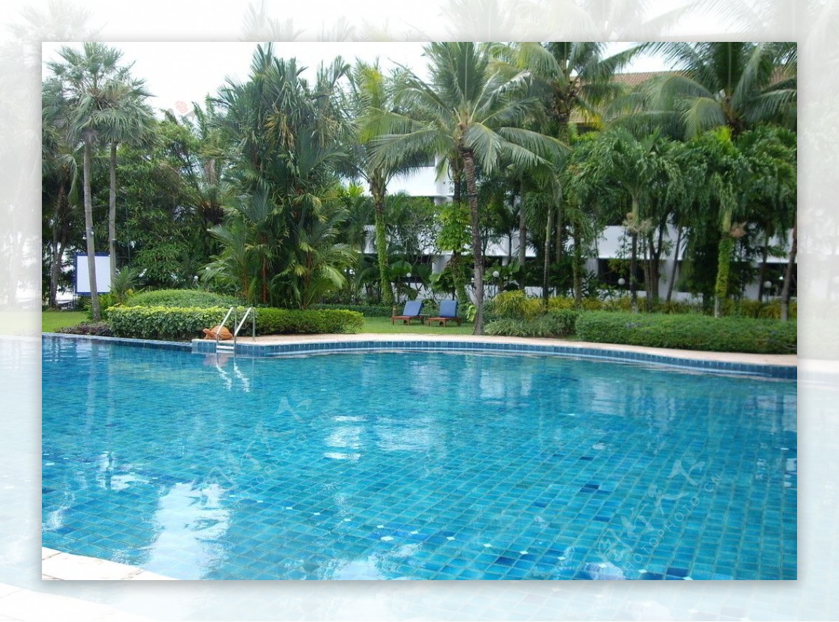 酒店游泳池图片
