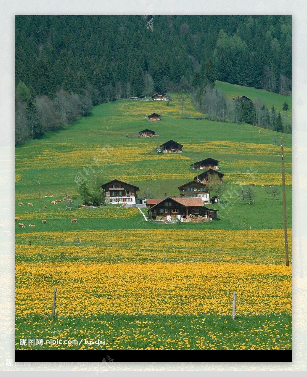 瑞士乡村图片