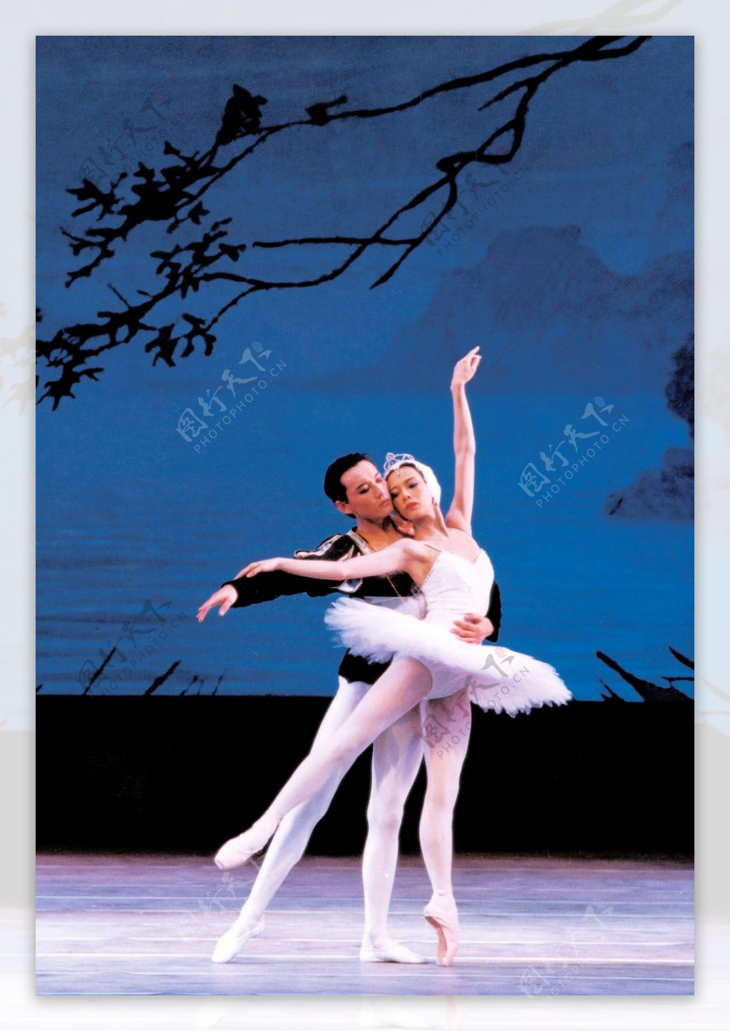 芭蕾舞天鹅湖2图片
