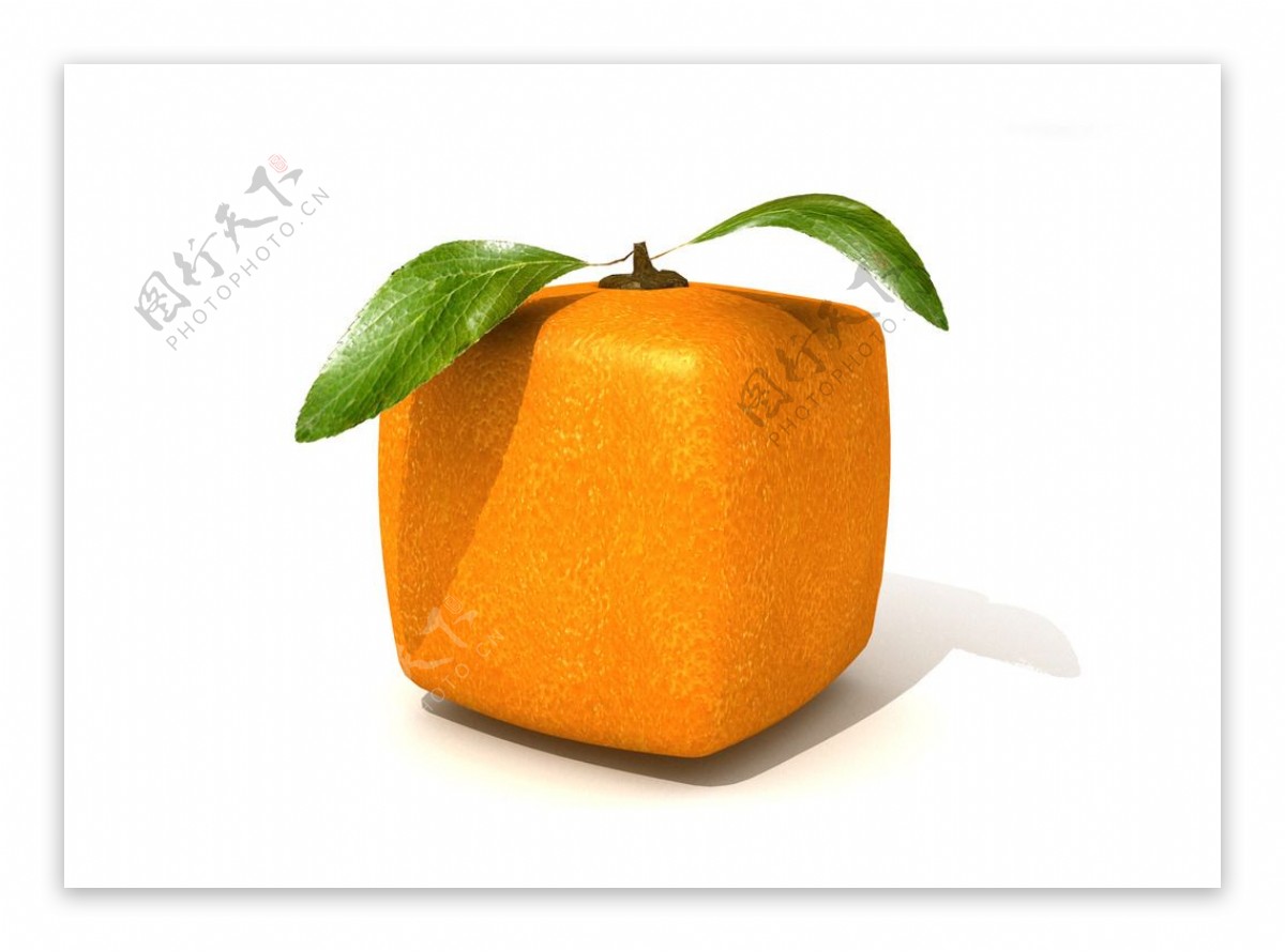 创意橙子图片