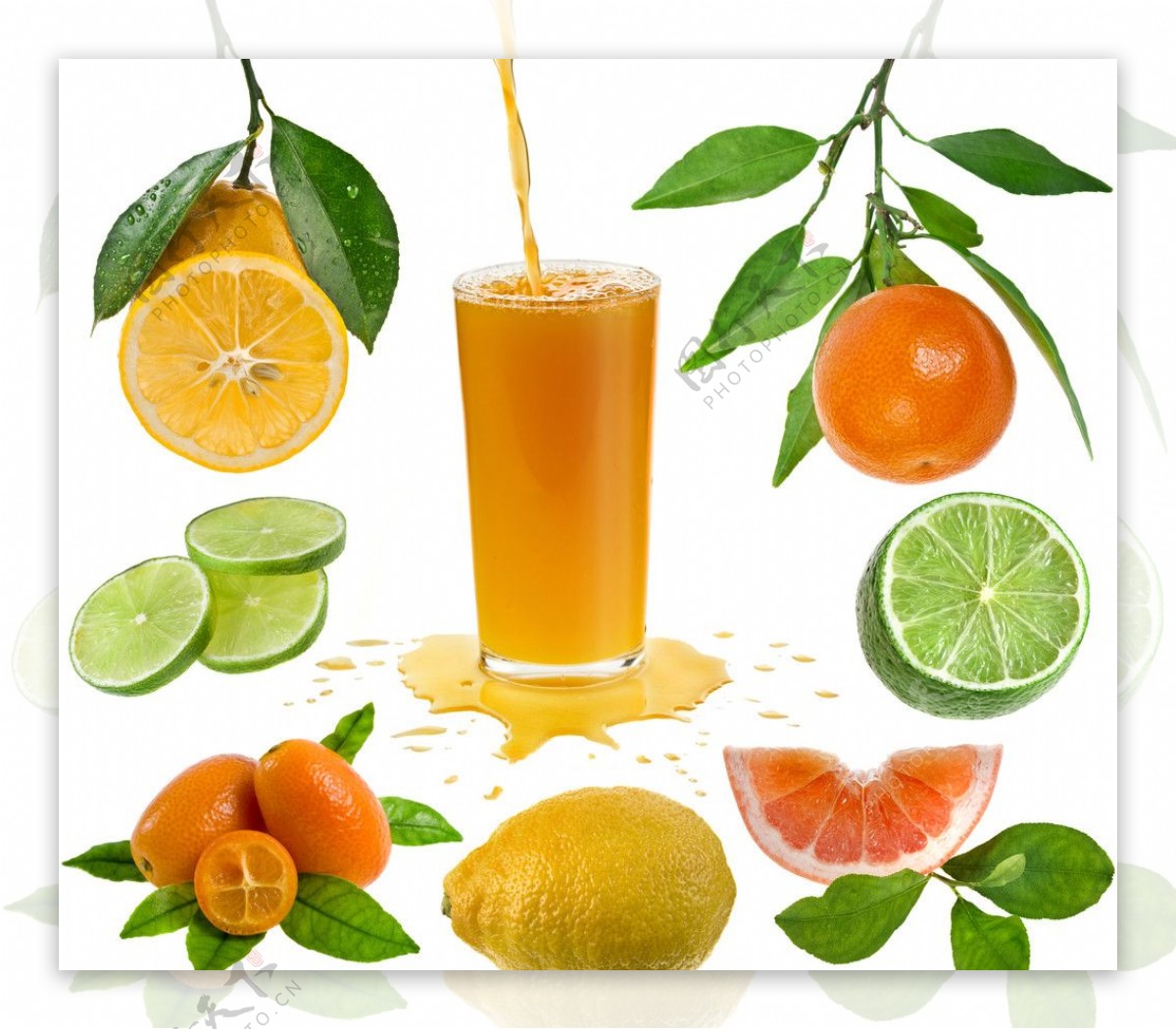 鸡尾酒橙汁图片