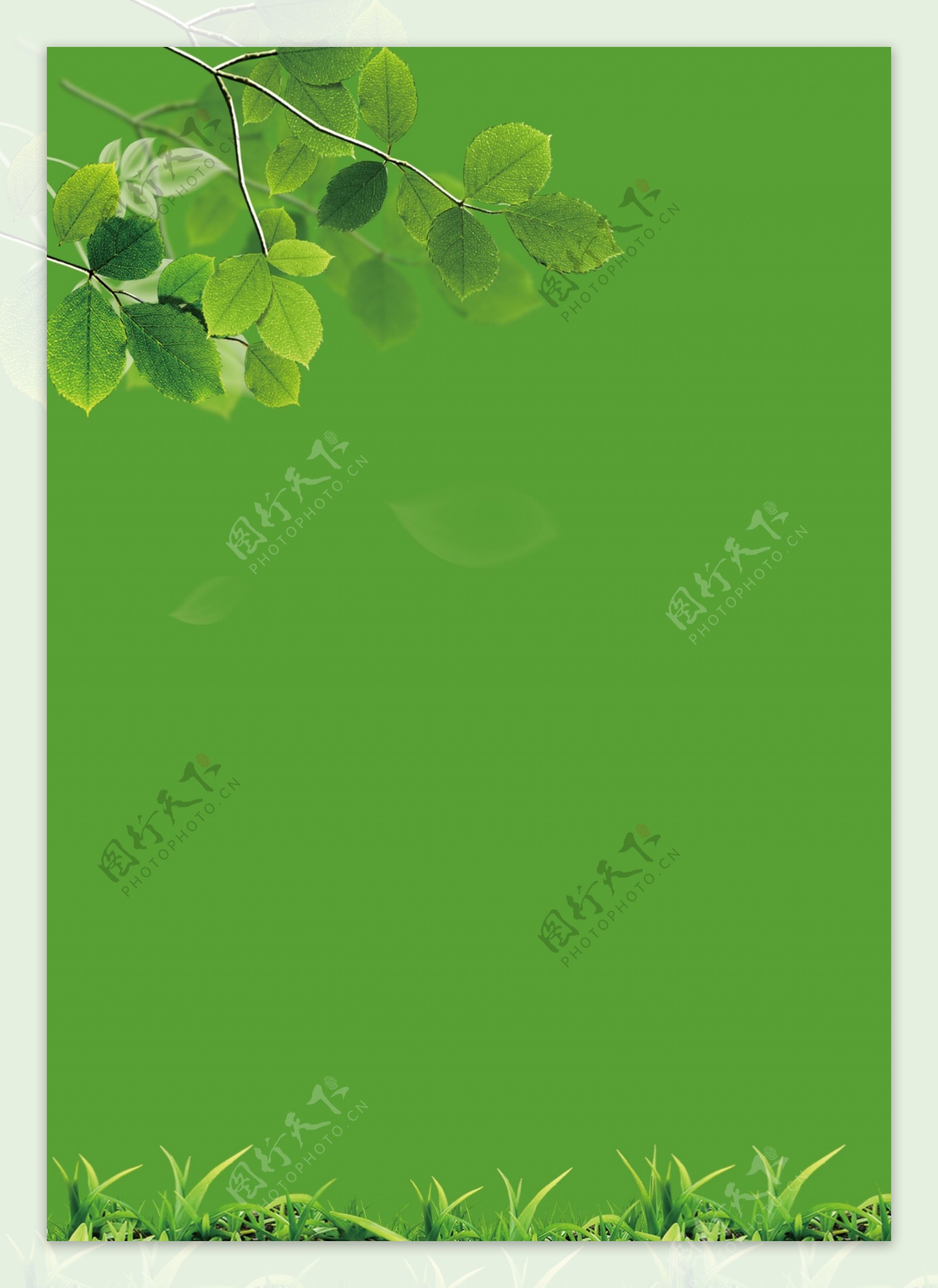 绿色树叶背景图片