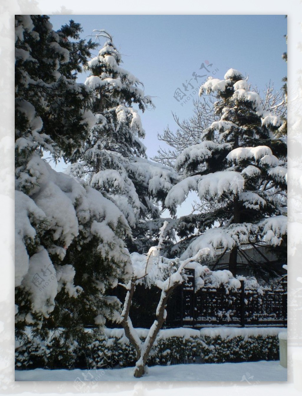 城市雪景图片