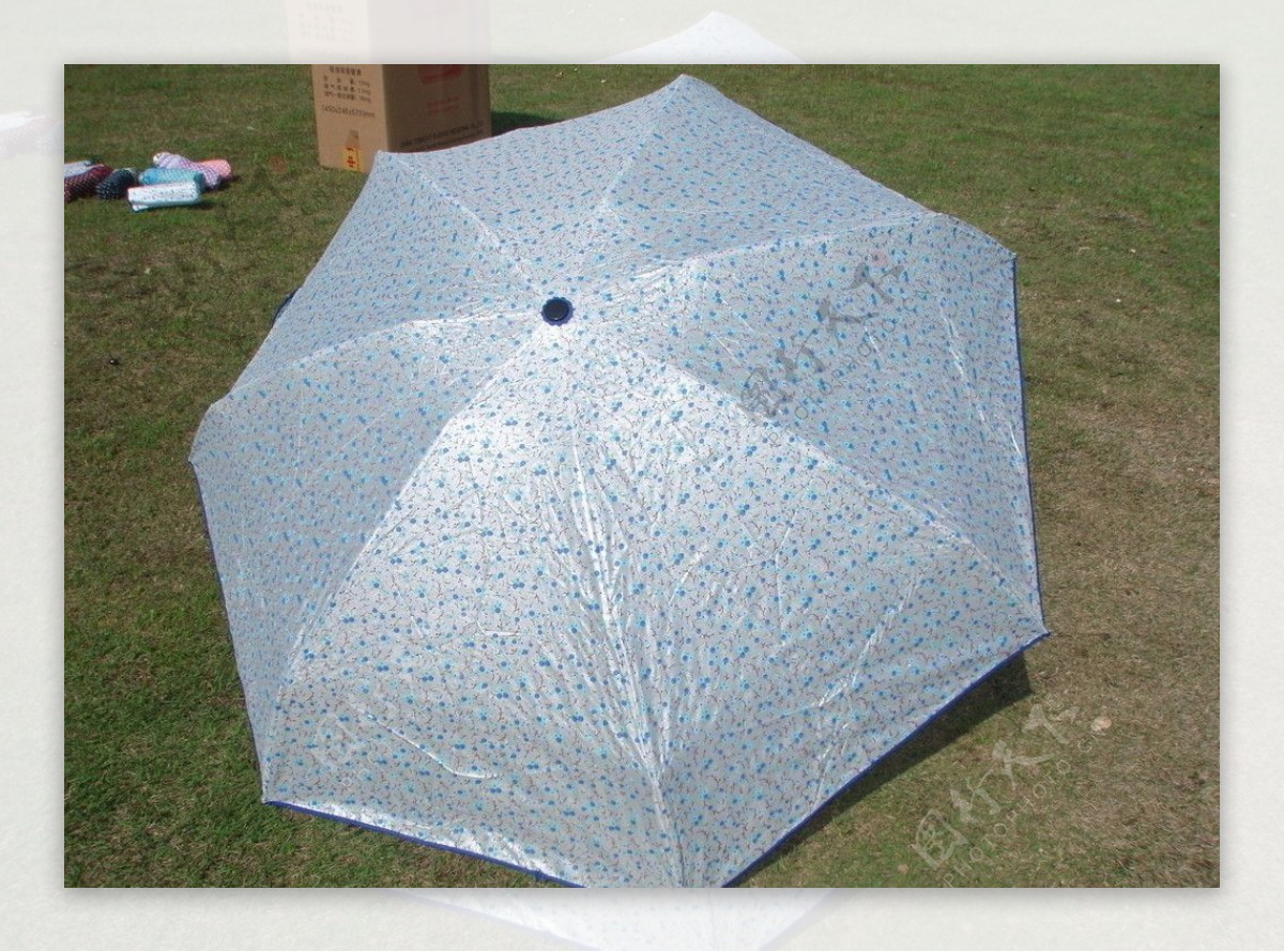 草地雨伞遮阳伞碎花伞晴雨伞图片