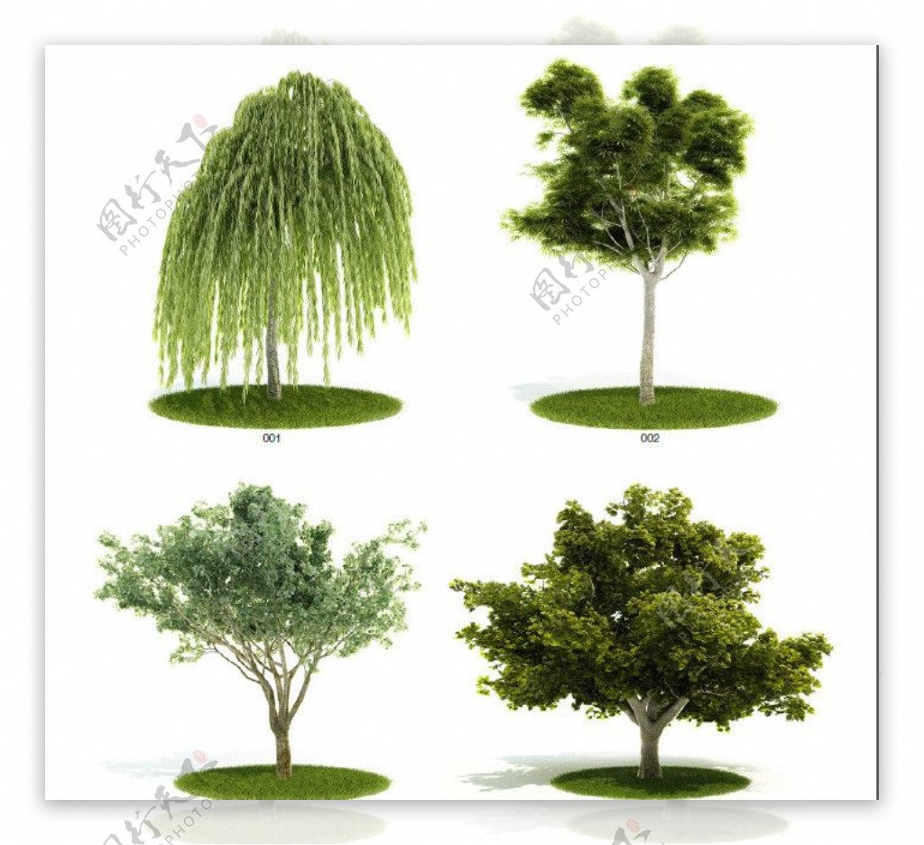 植物3dmax模型汇图片