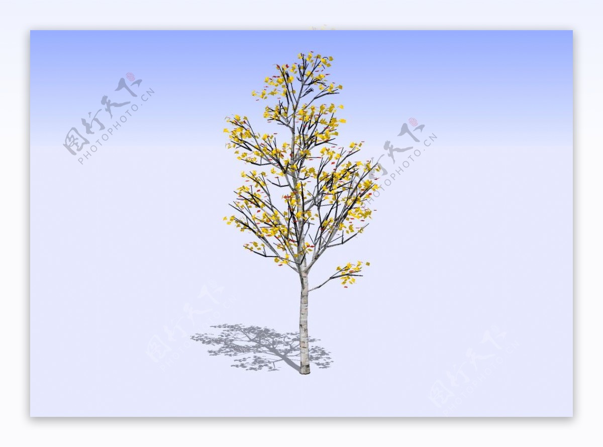 杂树3D模型图片