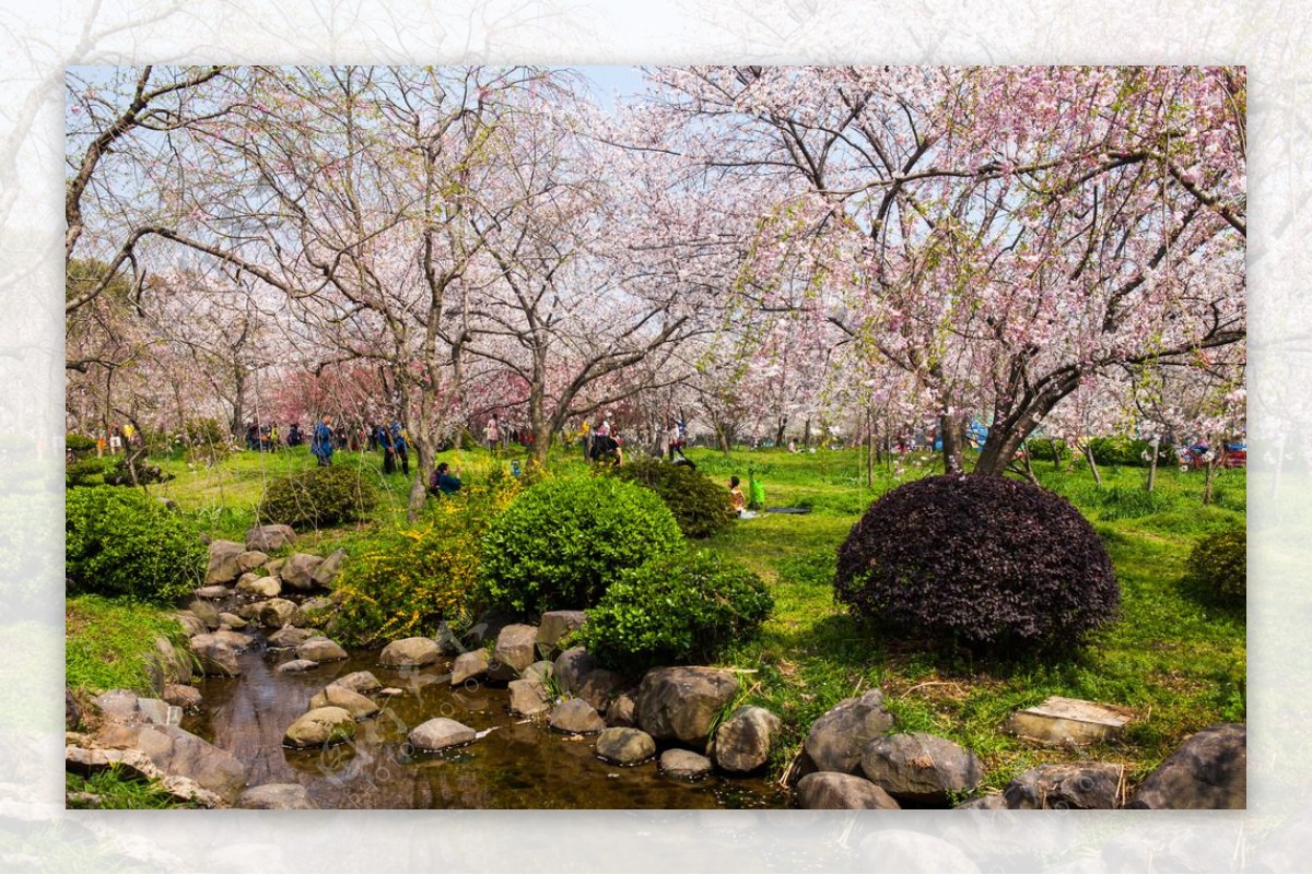 东湖风景区图片