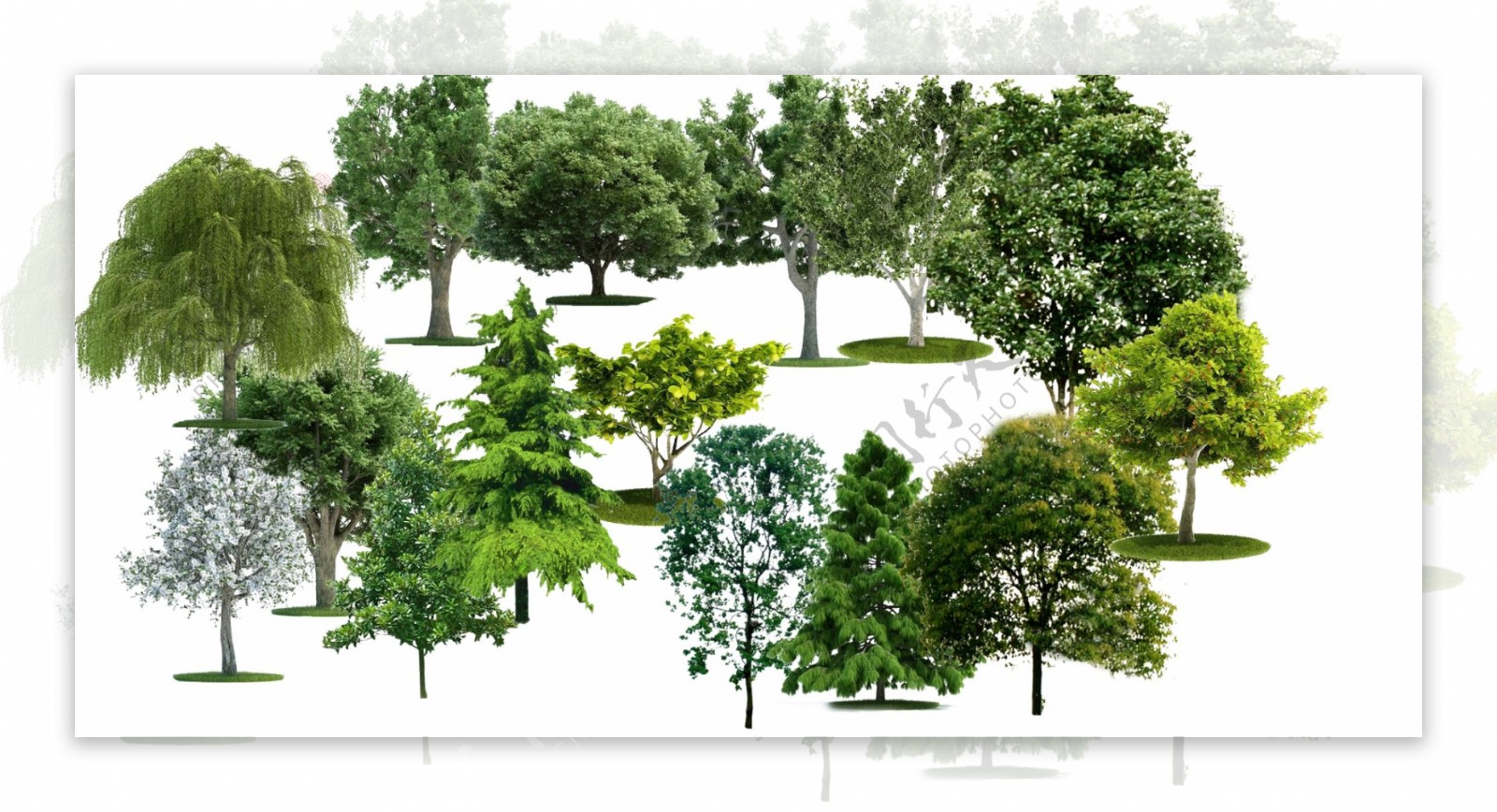 树素材杂树分层树柳树松树图片
