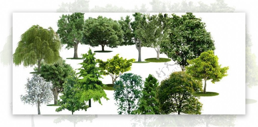 树素材杂树分层树柳树松树图片