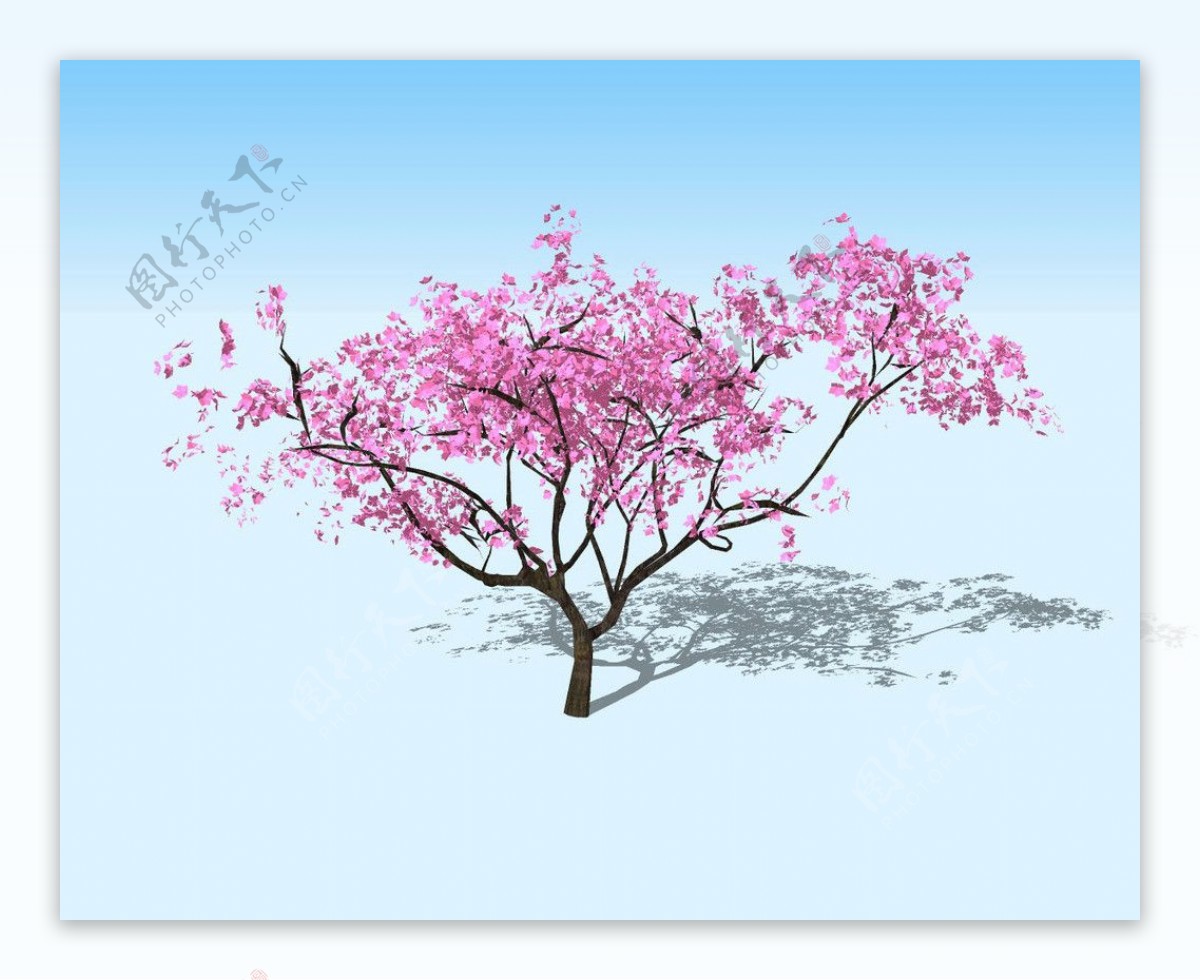 桃树3D模型图片