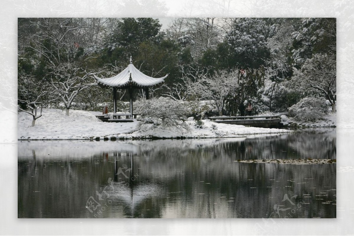 杭州花圃雪后初晴图片