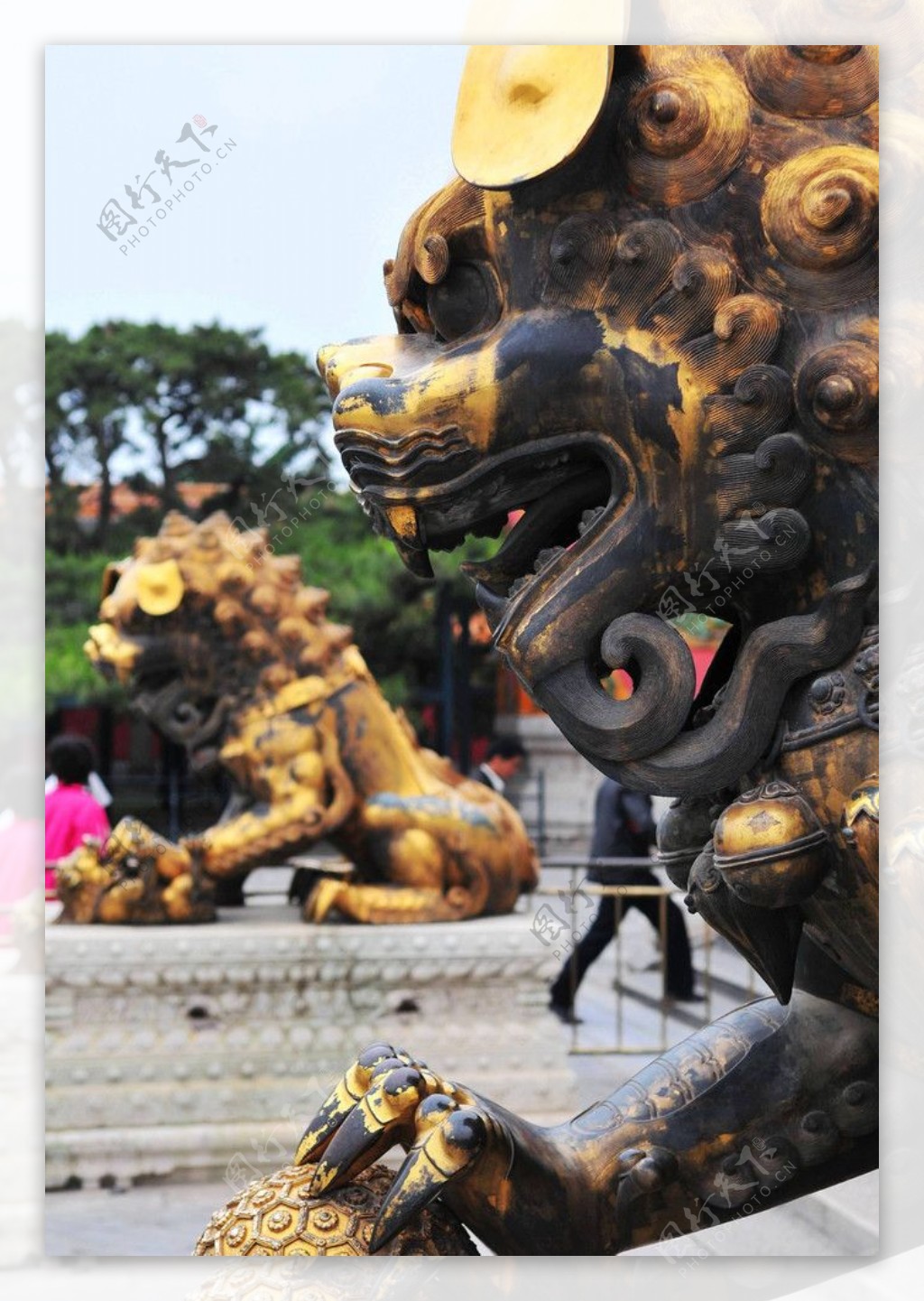 坤宁宫前铁狮图片