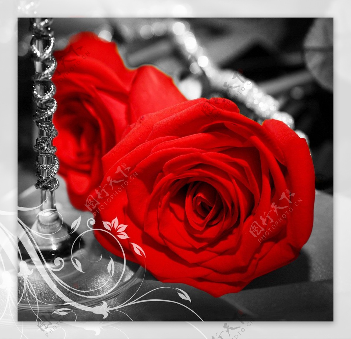红色玫瑰图片
