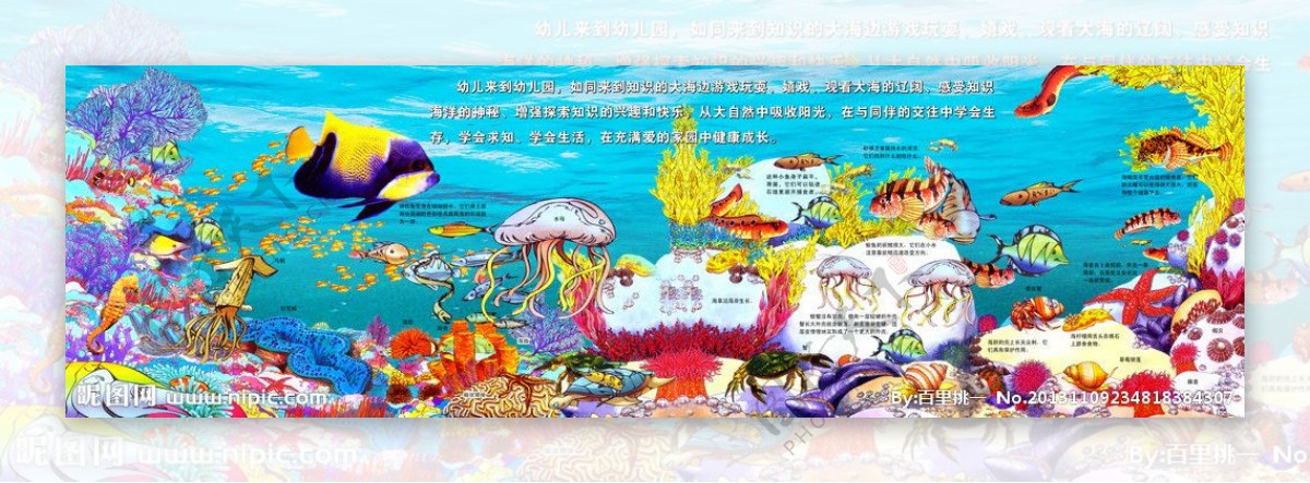 幼儿园海洋生物教育图片