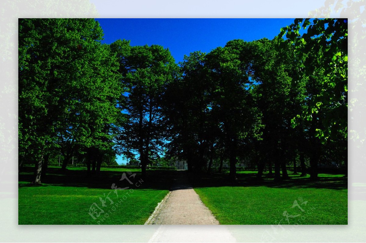 芬兰赫尔辛基公园里夏天景色图片