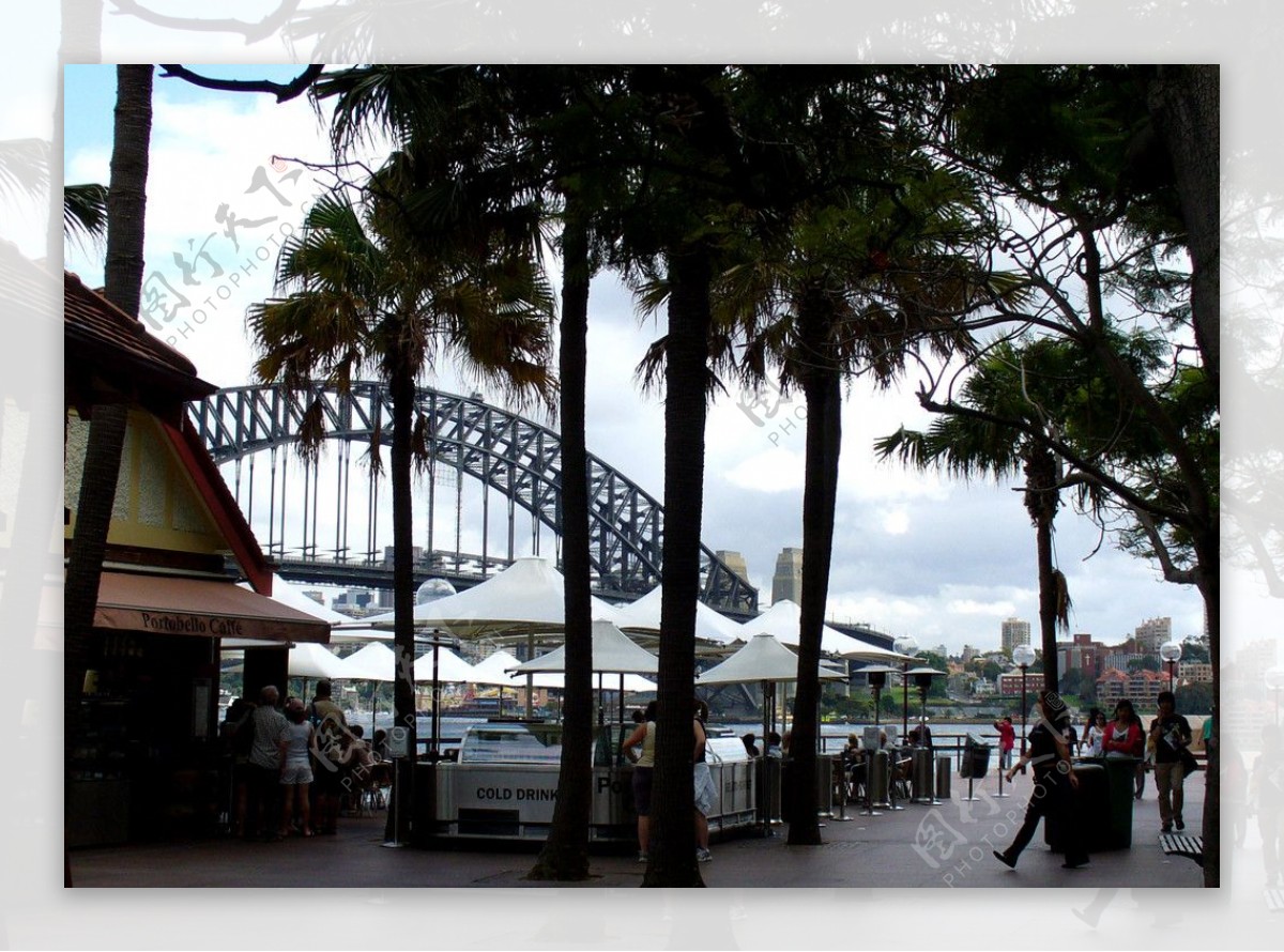 悉尼大铁桥图片