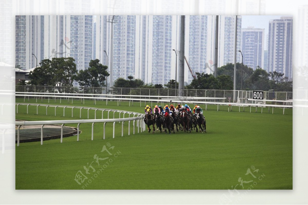 香港赛马场图片