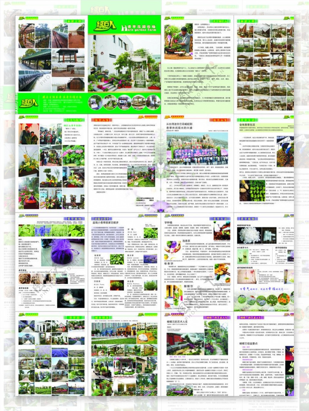 绿化园艺园林画册图片
