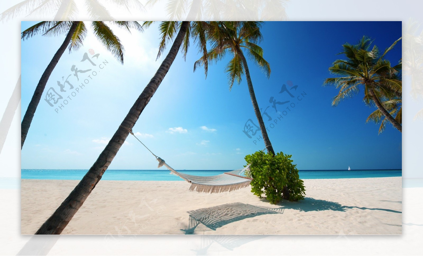 海边沙滩与椰子树图片