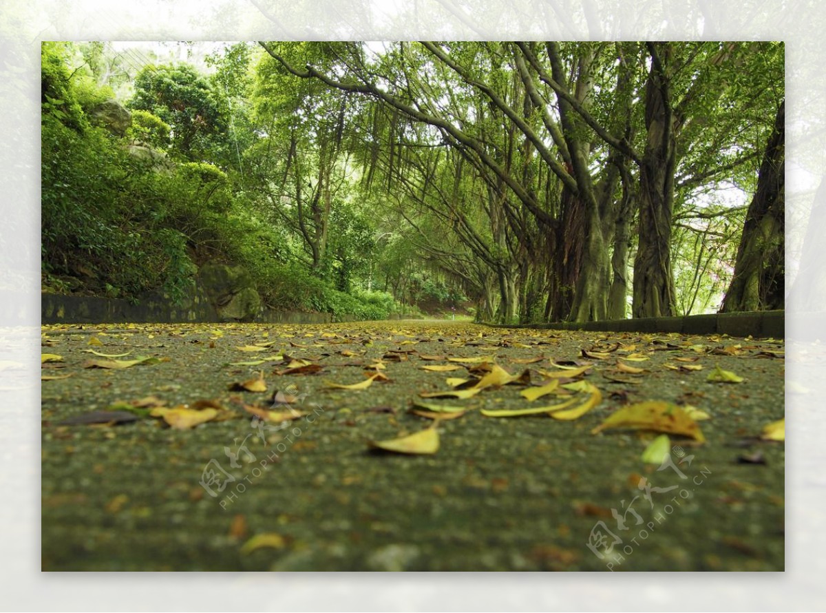 南沙天后宫南沙路小路图片