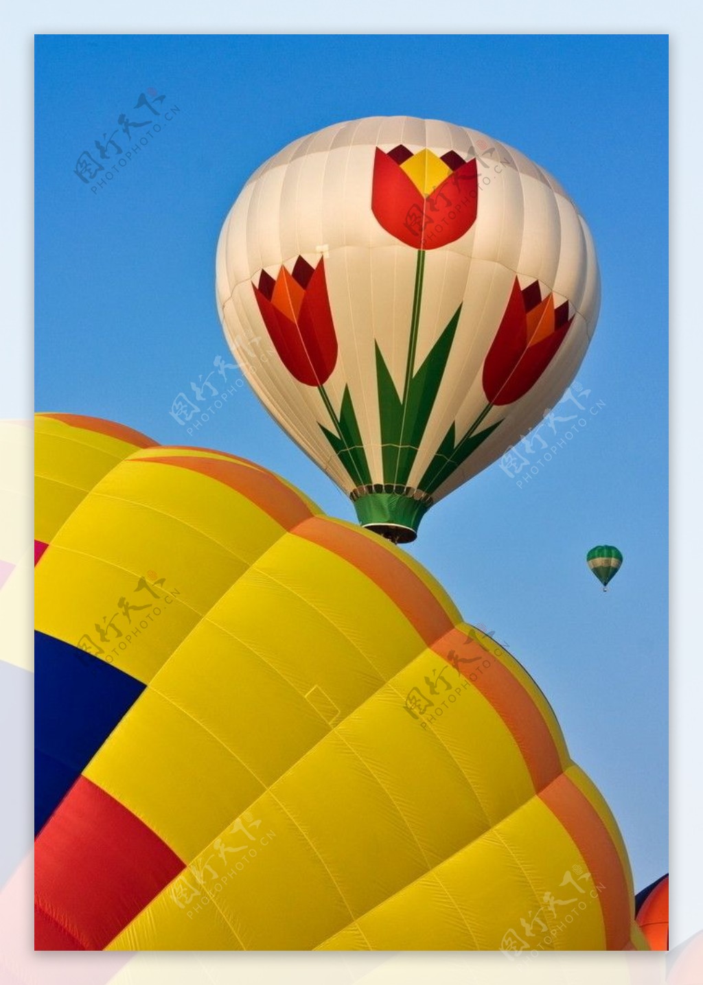 法国洛林热气球节 彩色热气球缤纷升空唯美至极_国际新闻_环球网